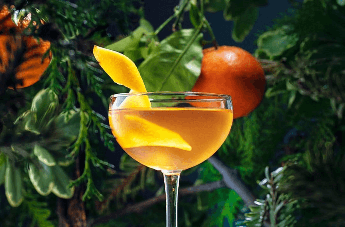 Drink z egzotyczny